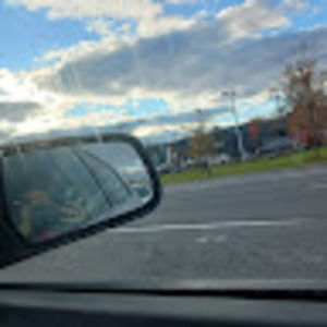 Meet your Posher, Milly